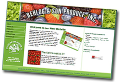 Behlog New Website
